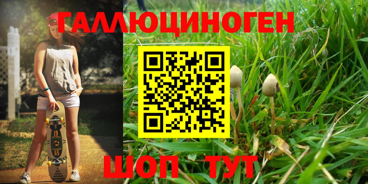 Галлюциногенные грибы прущие грибы Владикавказ