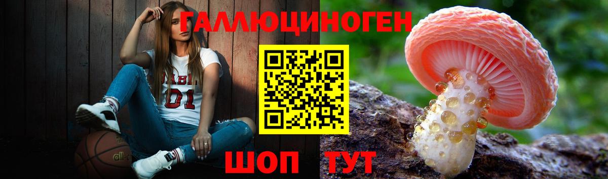 Псилоцибиновые грибы ЛСД  Владикавказ  Галлюциногенные грибы прущие грибы 