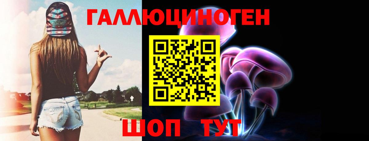 Псилоцибиновые грибы GOLDEN TEACHER  Псилоцибиновые грибы Psilocybe  Владикавказ  Вход с VPN 